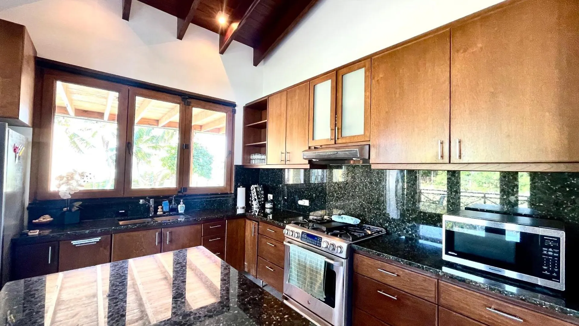 Windancer Beachfront Villa In Las Picuas 里奥格兰德 0*,  波多黎各