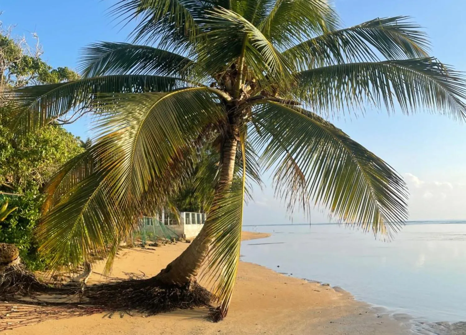 Windancer Beachfront Villa In Las Picuas Río Grande