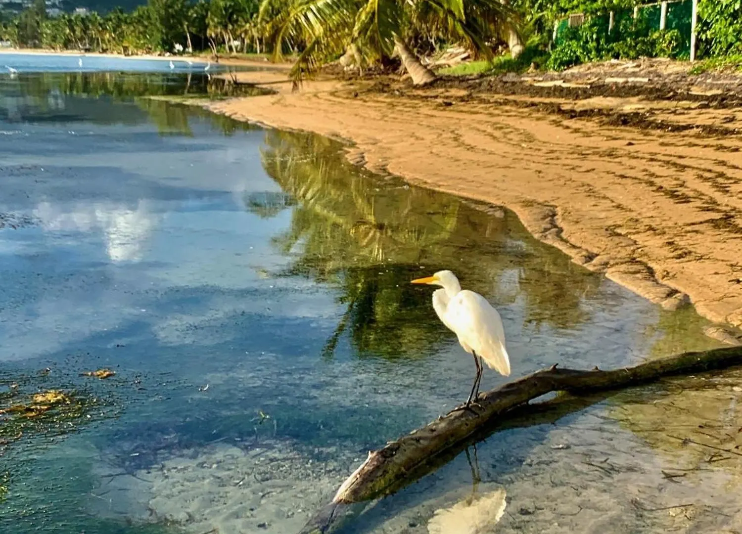 Windancer Beachfront Villa In Las Picuas Río Grande 0*,
